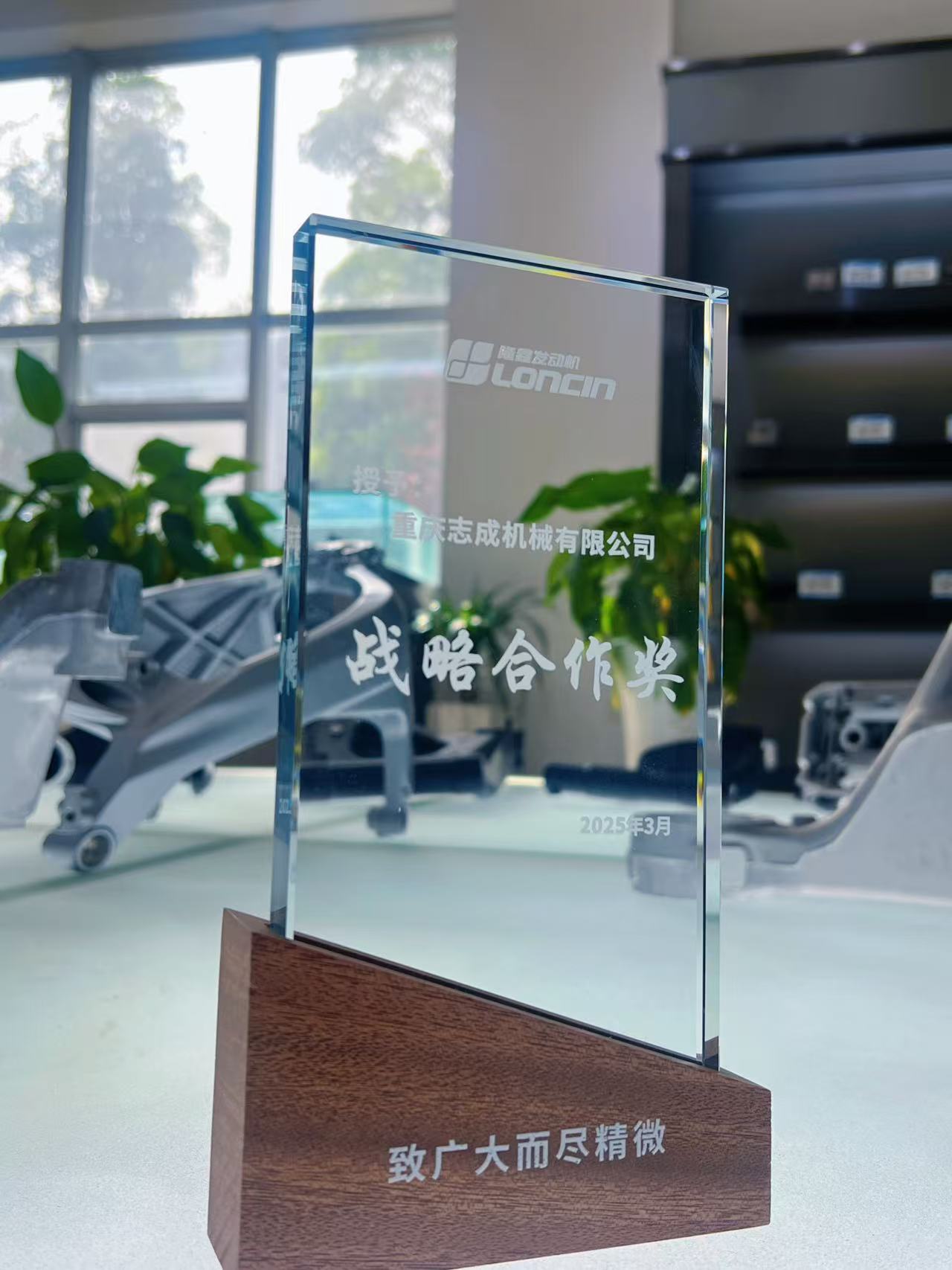 隆鑫-戰(zhàn)略合作獎